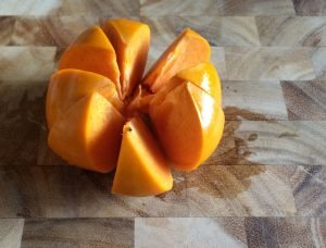 persimmon-flower