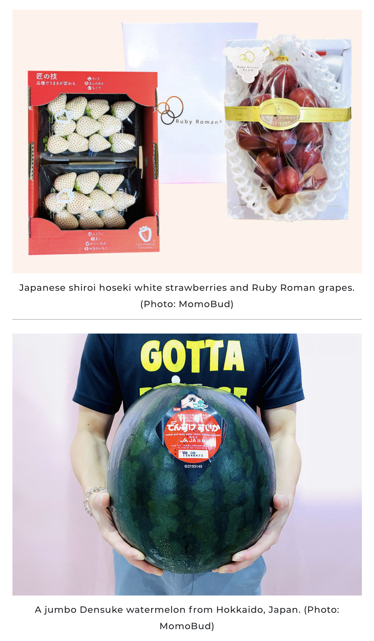 CNA Luxury MomoBud Article