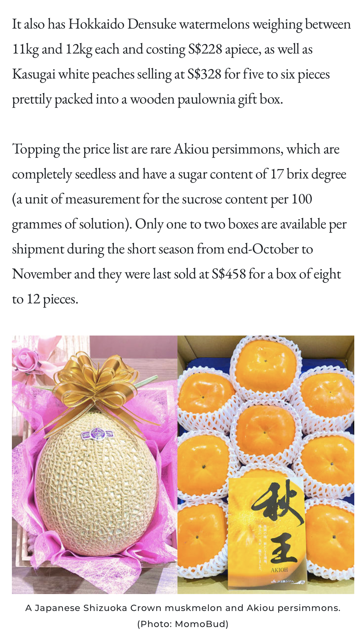 CNA Luxury MomoBud Article