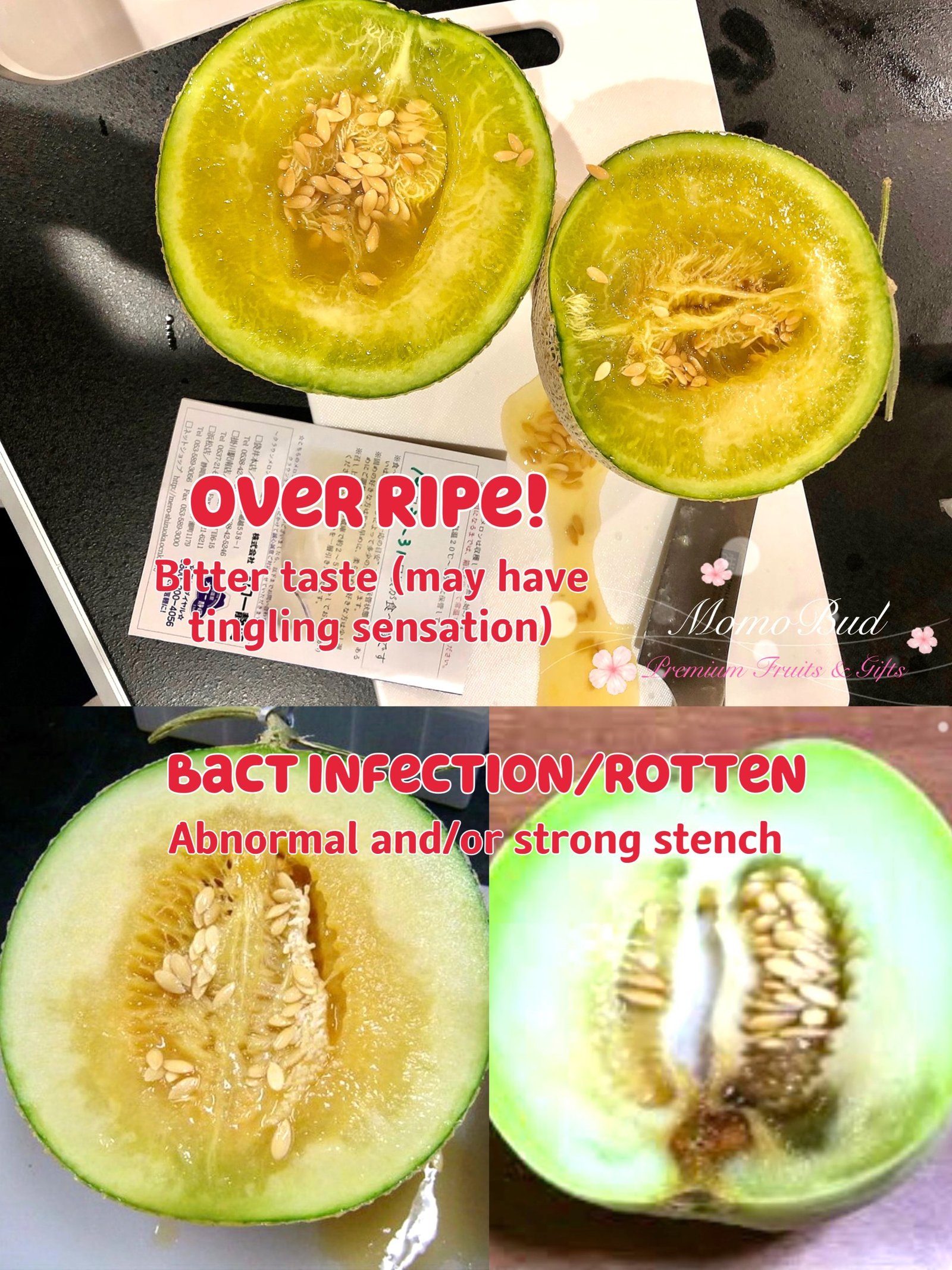 Overripe & Rotten Melons