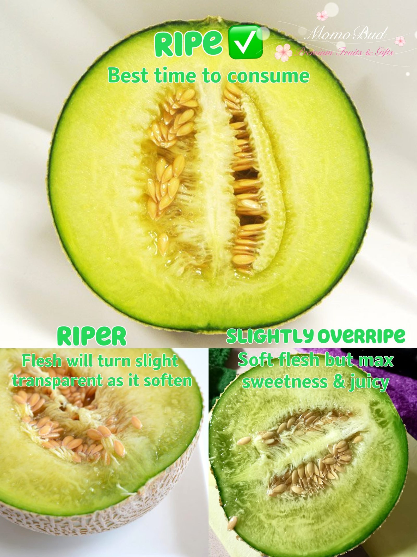 Ripe to Slight Overripe Melons