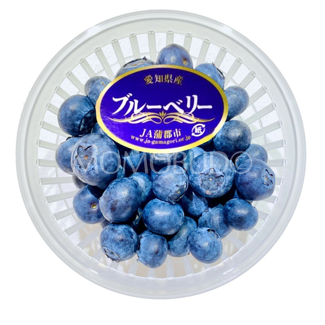 Japanese Aichi Blueberry (100g punnet)