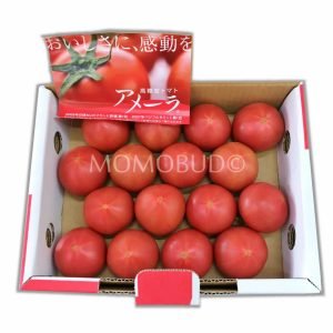 Japanese Amela Tomato Gift Box