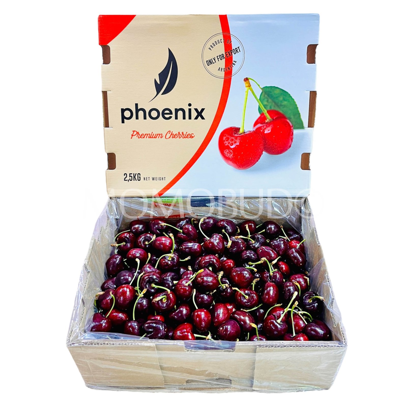 Argentina Phoenix Santina Red Cherry