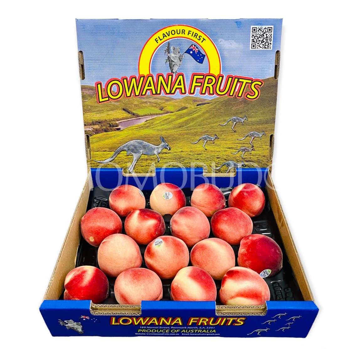 Lowana Pearl Princess White Peach (Medium)