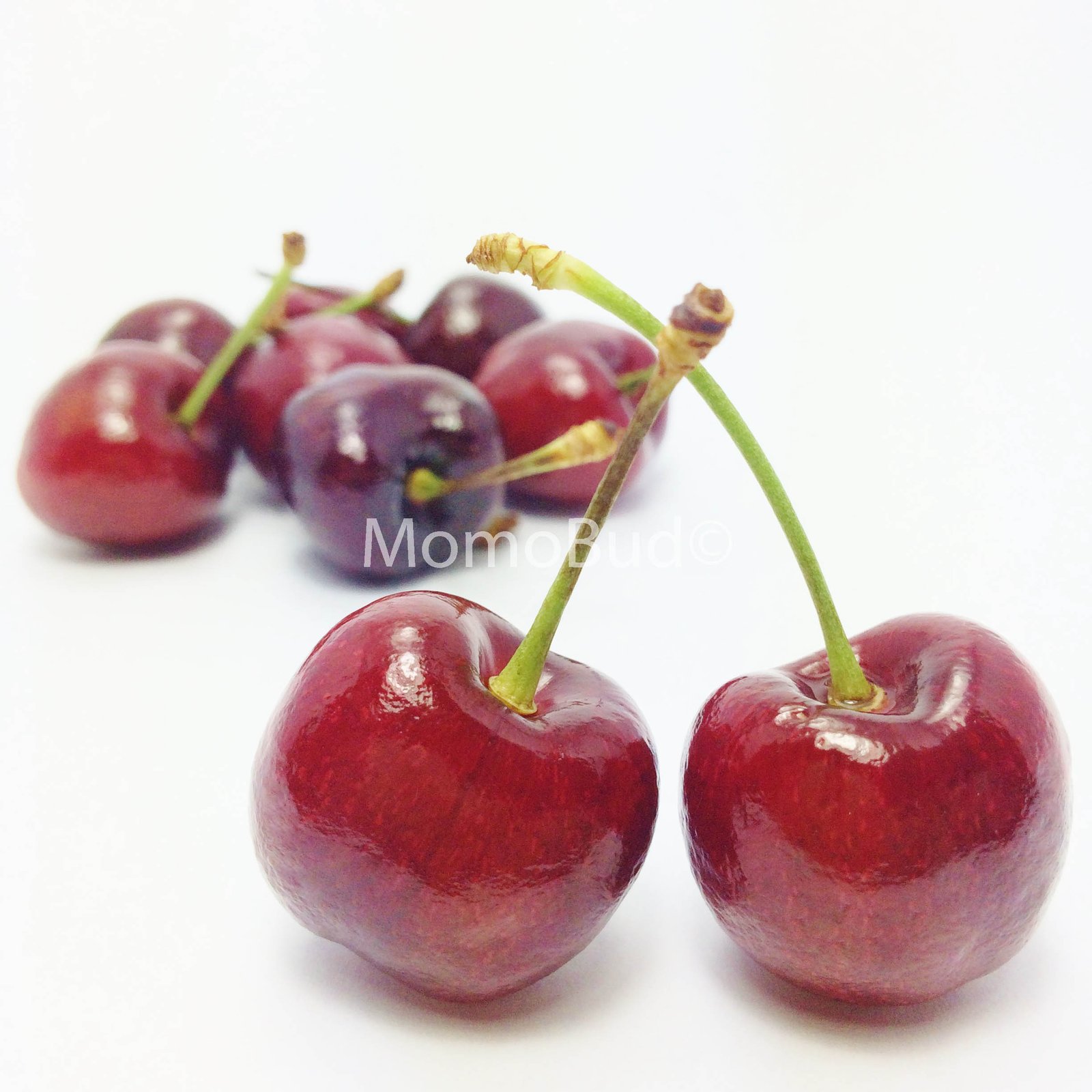 Bing Red Cherry