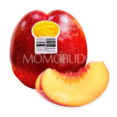 Nectara™ Smooth Honey Yellow Nectarine (Small-Plus)