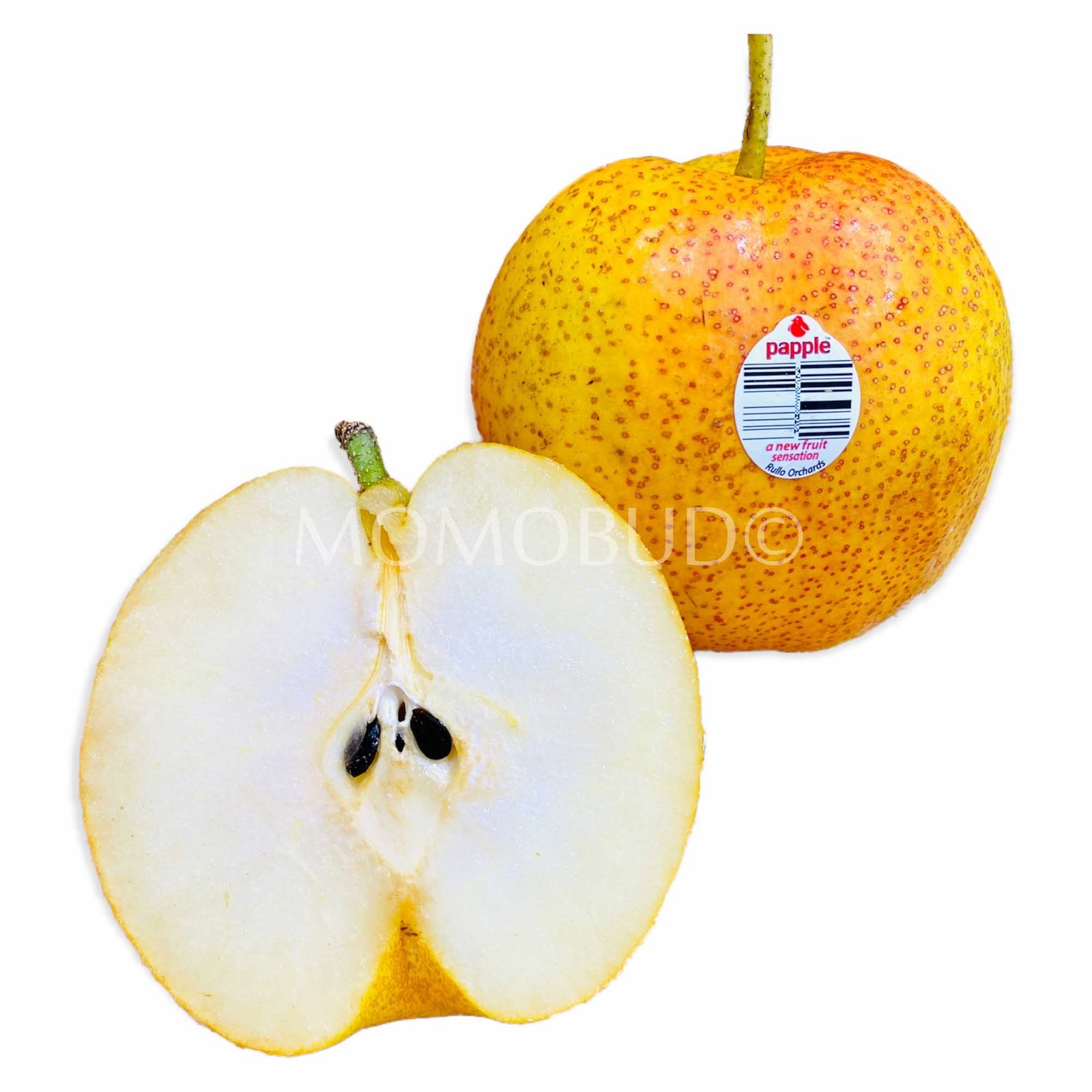 Papple™ Pear
