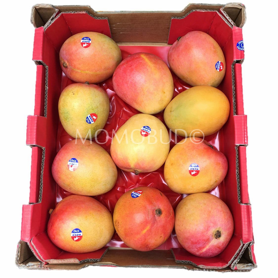 R2E2 Mango Box