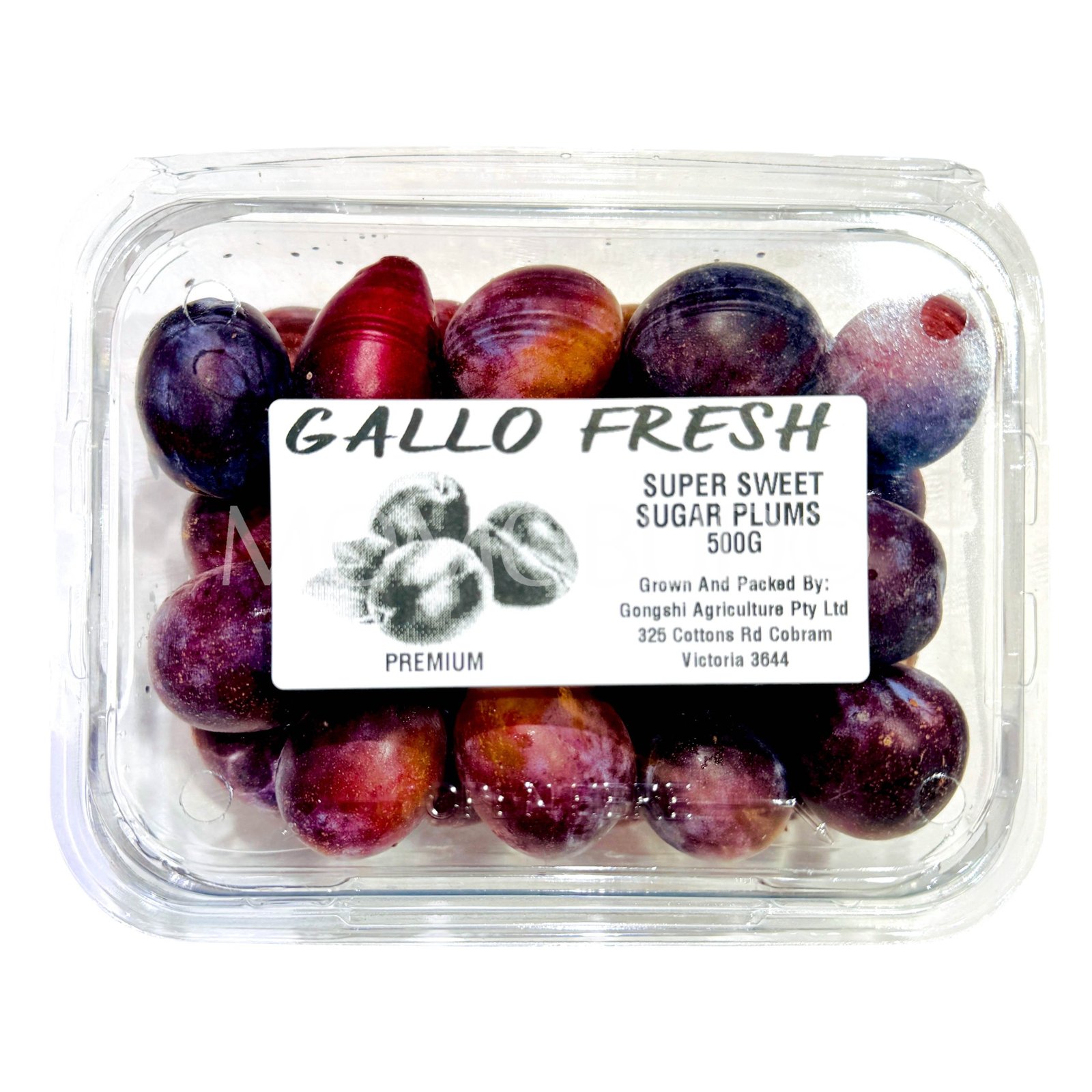 Super Sweet Sugar Prune (500g punnet)