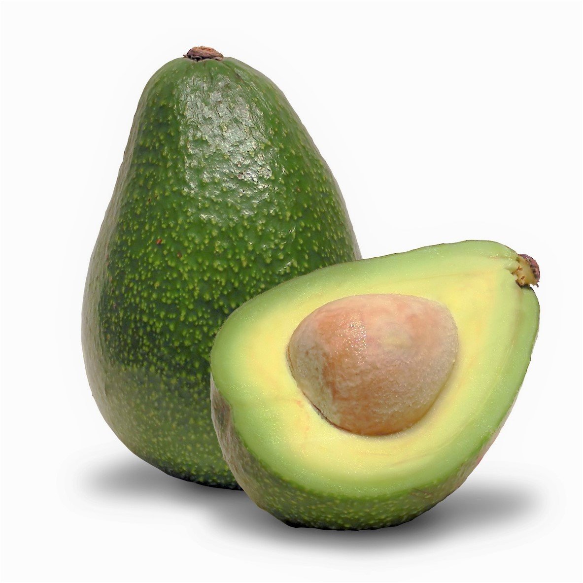 Australian Sheperd Avocado