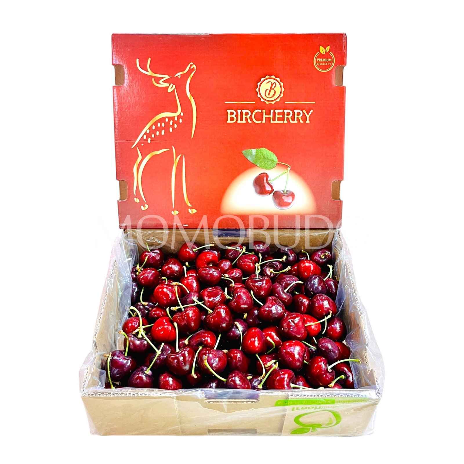 Bircherry Santina Red Cherry