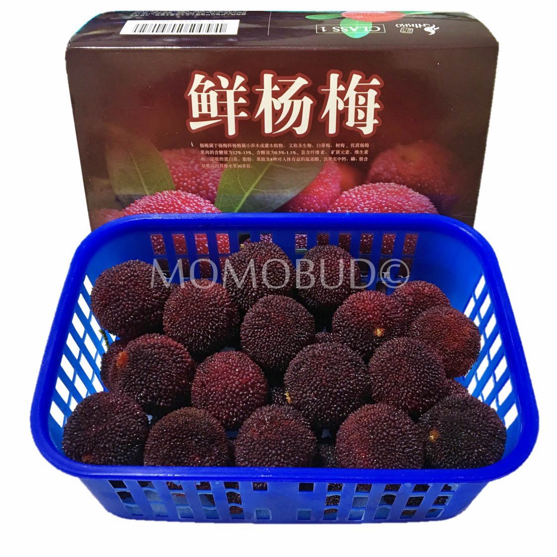 Black Chinese Bayberry (500g)