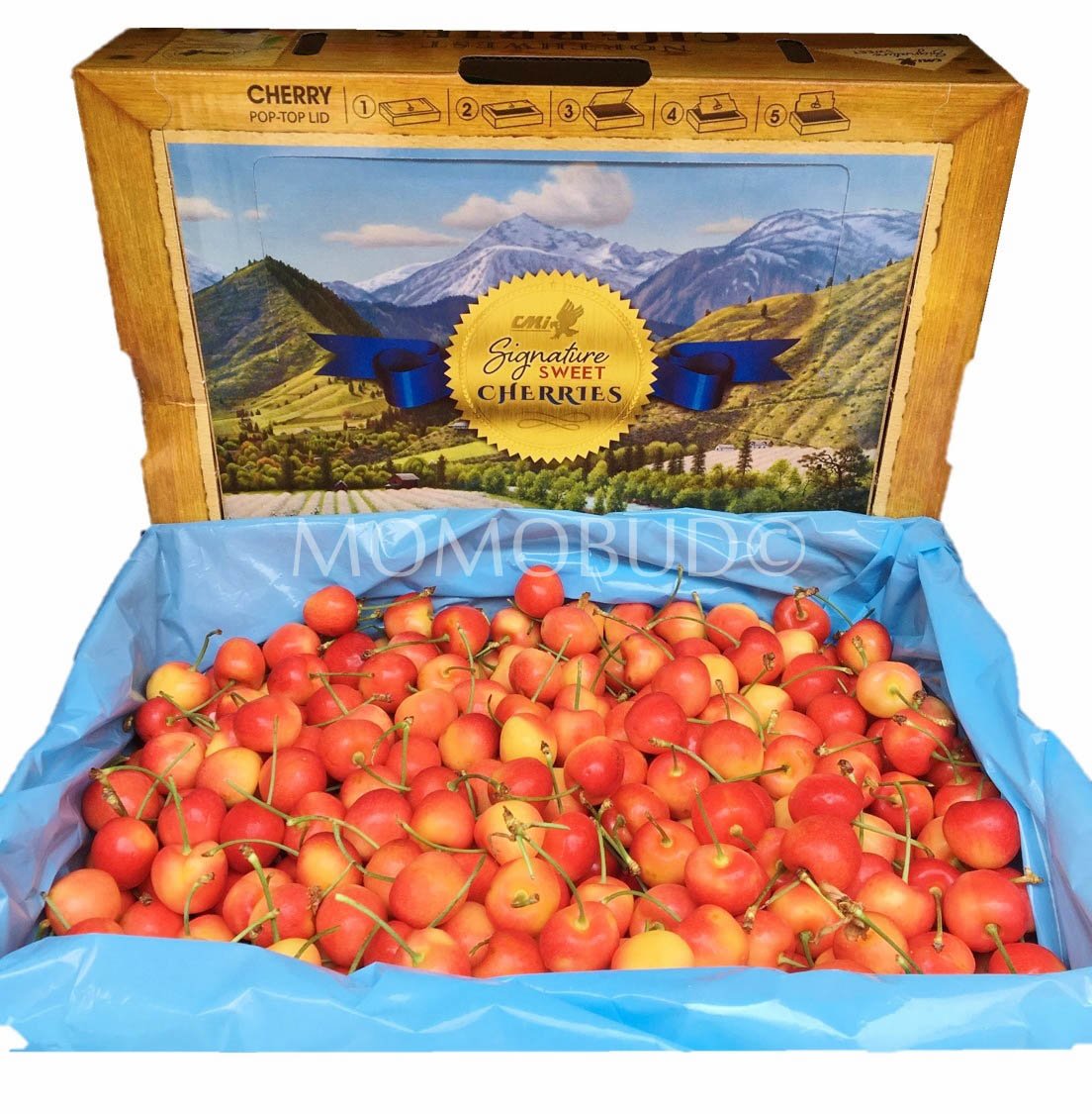 Washington Rainier Cherry