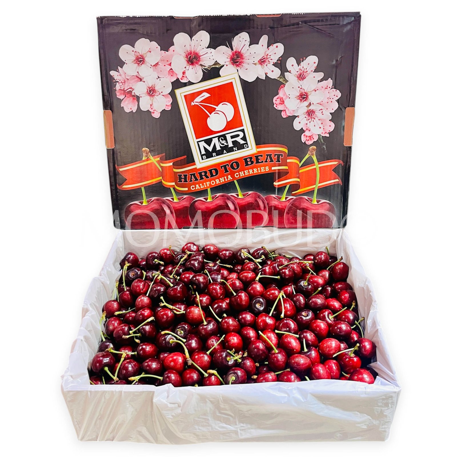 Royal Lynn Red Cherry