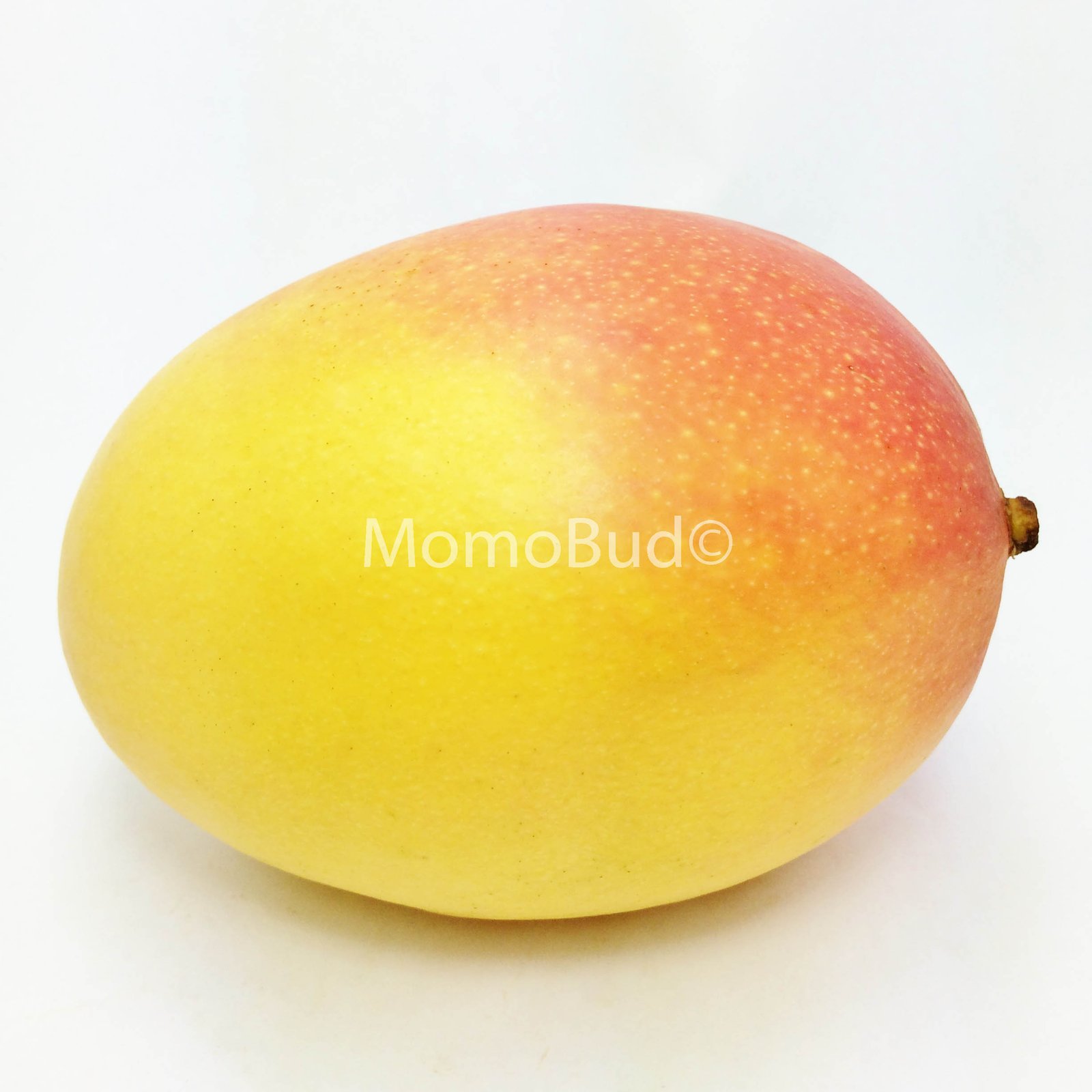 R2E2 Mango Box - Image 3