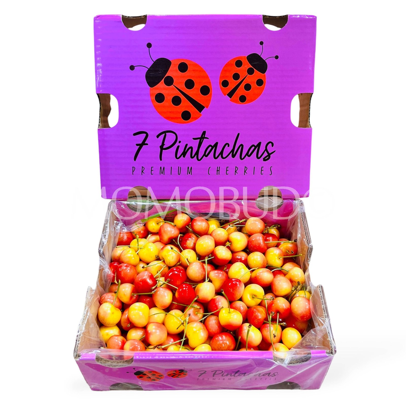 Chilean 7 Pintachas Rainier Cherry