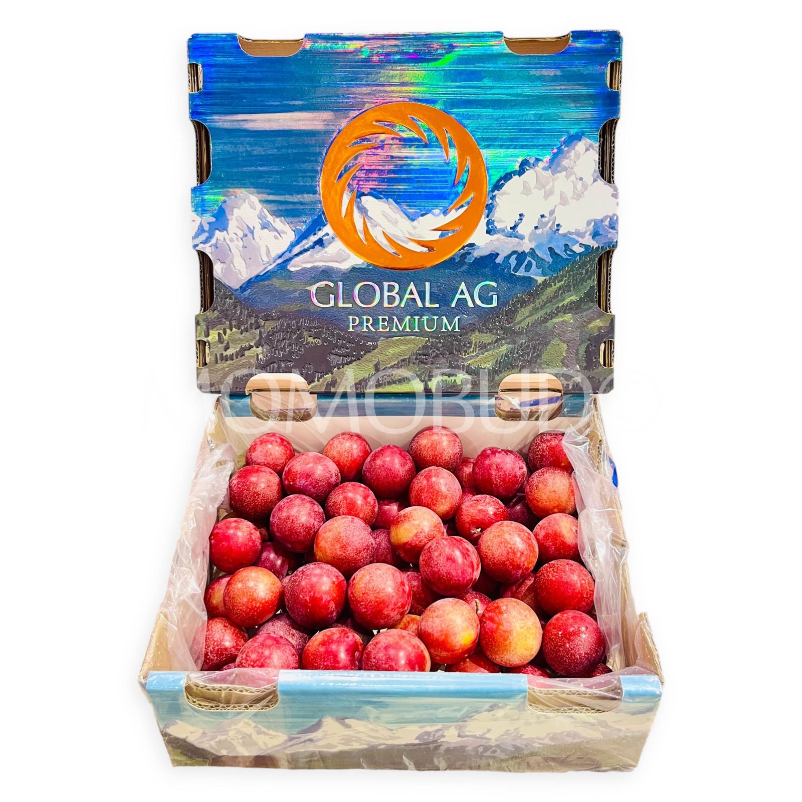 Chilean Candy Pixie Cherry Plum