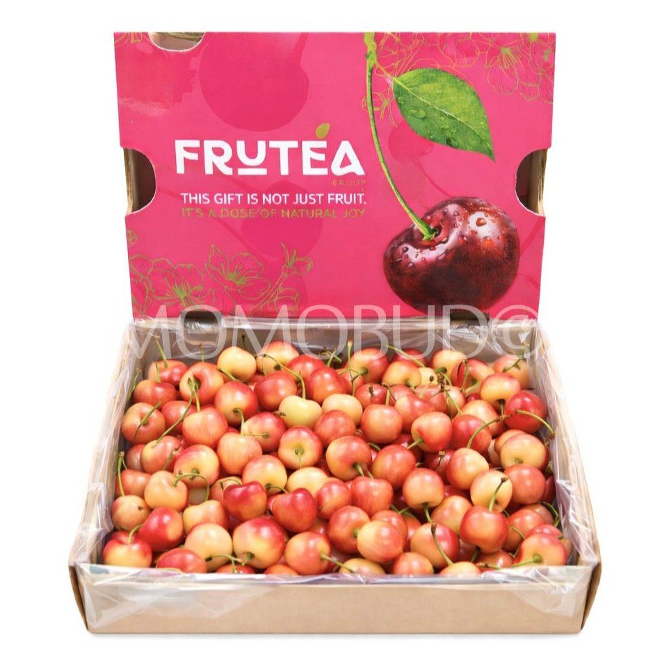 Chilean Frutea Rainier Cherry (X-Jumbo)