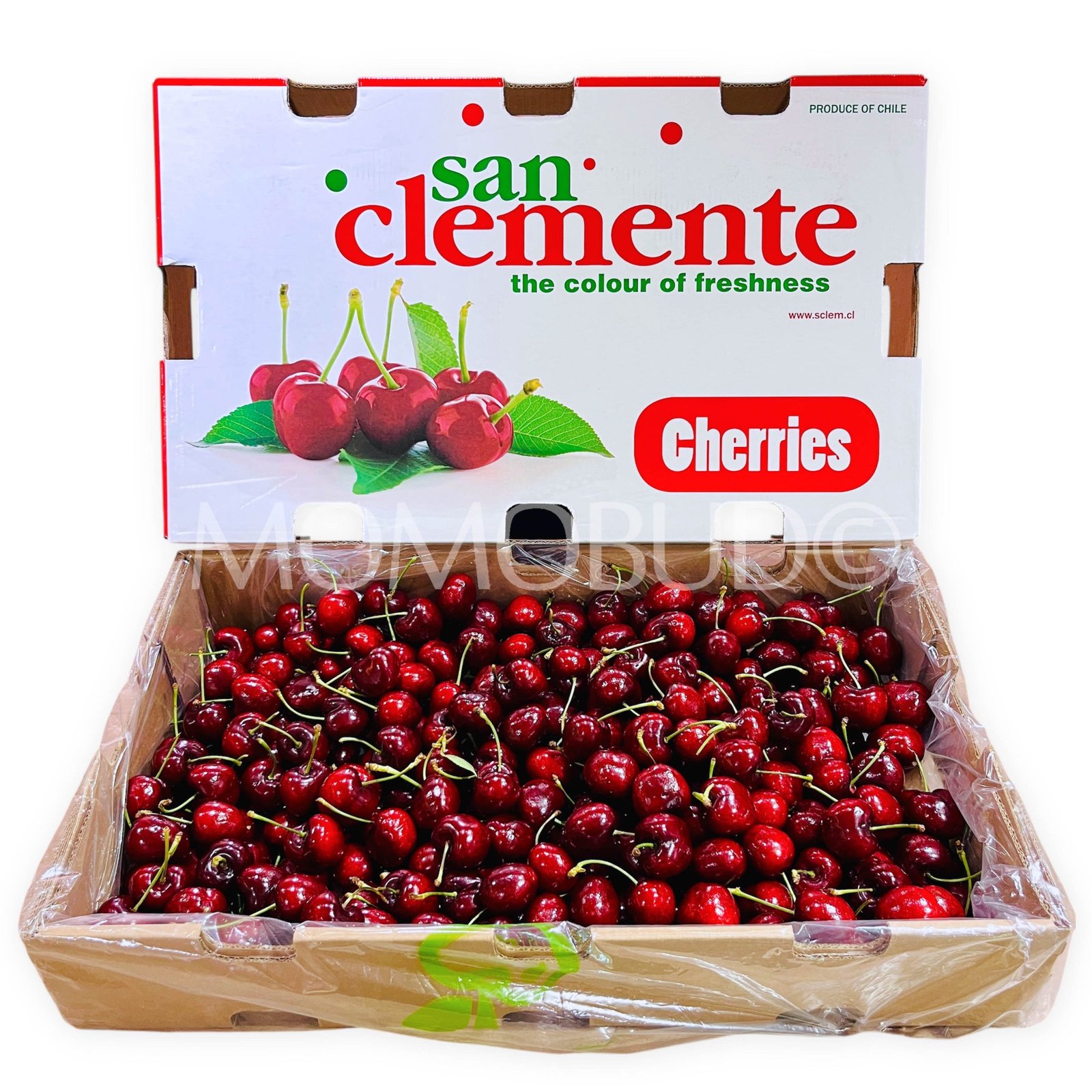 Chilean San Clemente Lapin Red Cherry
