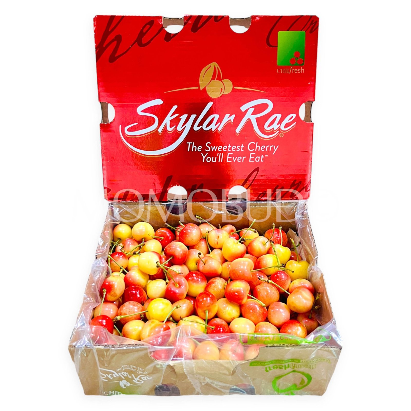 Chilean Skylar Rae® Cherry (Large)