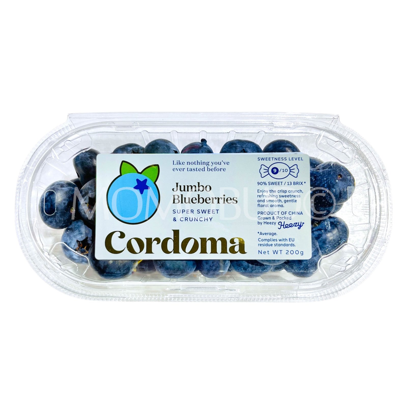 Cordoma Super Jumbo Blueberry (200g punnet)