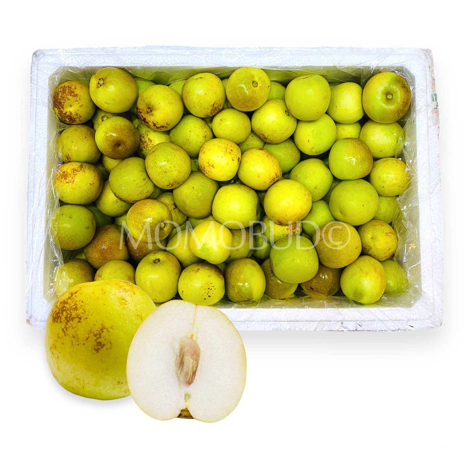 China Sweet Fresh Jujube (Dates)