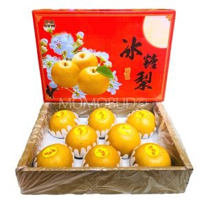 Ice Sugar Snow Pear (Medium)
