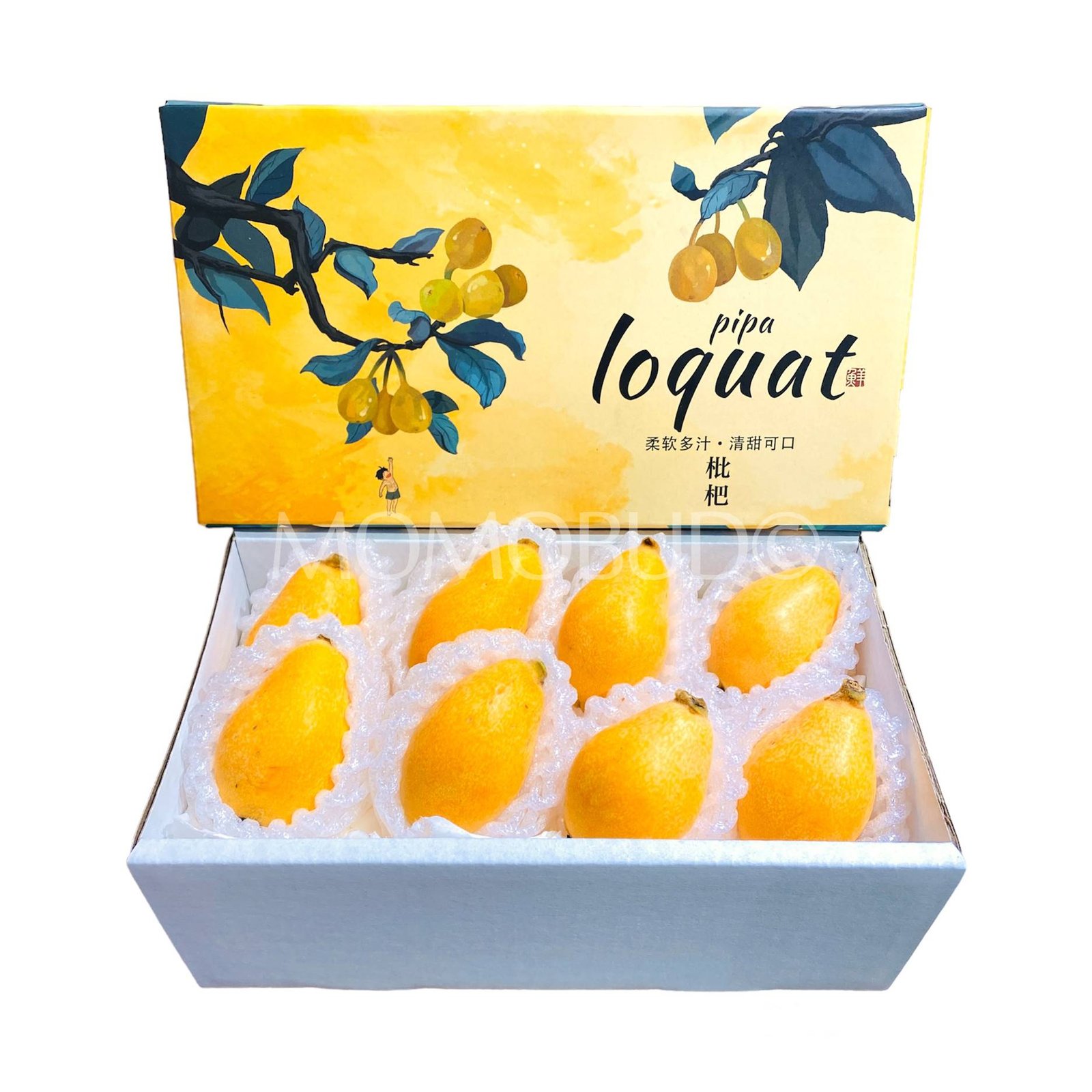 China Loquat Gift Box