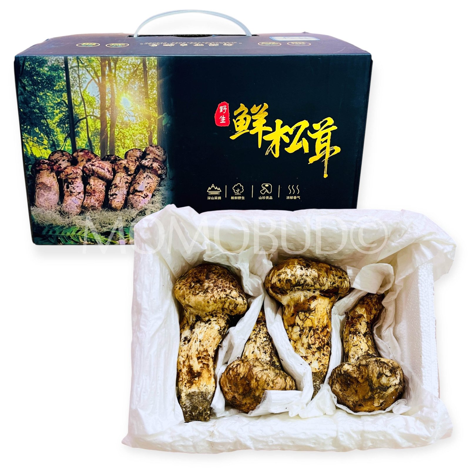 *Exclusive* Matsutake Mushroom Gift Box (500g)