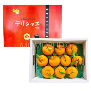China Red Hyang Mandarin Orange