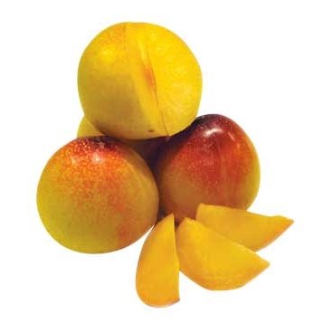 Mango Tango Plum (6pcs)