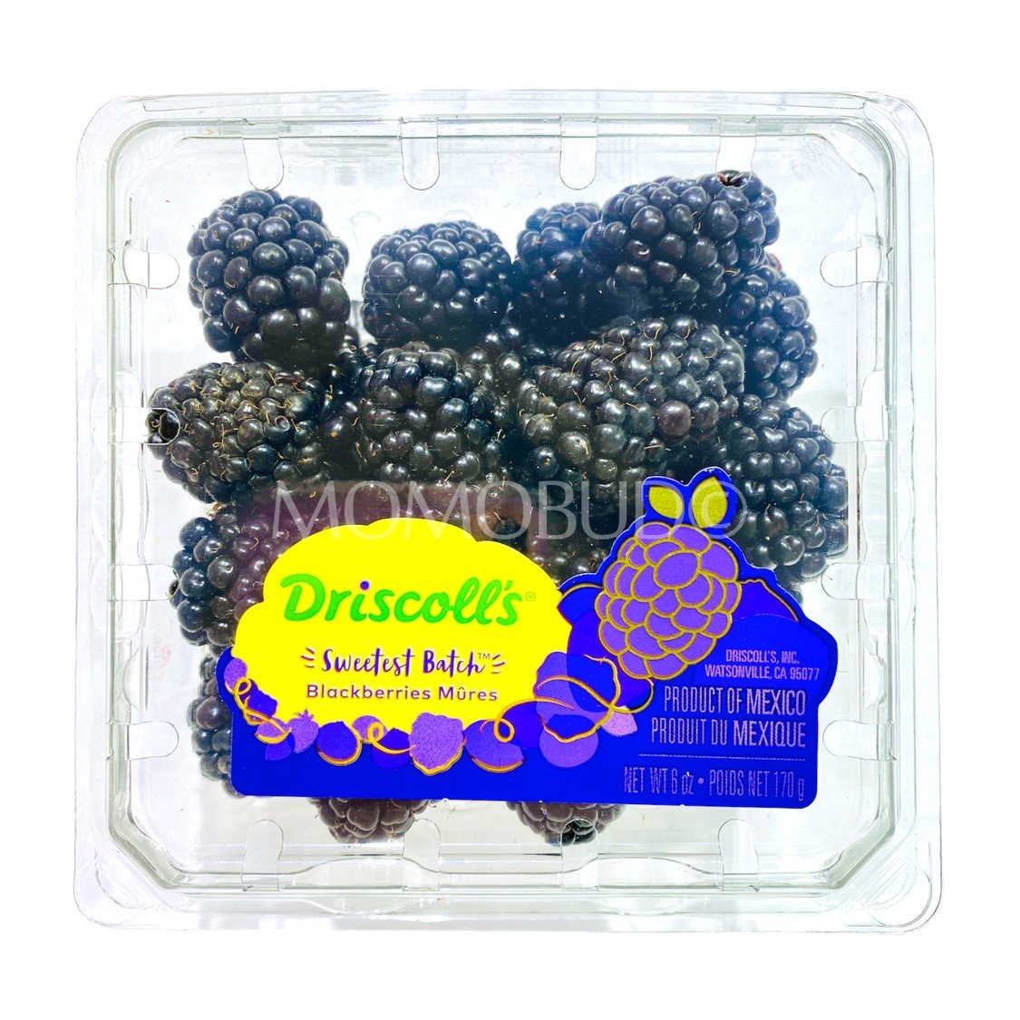 Driscoll's Sweetest Batch Blackberry (170g punnet)