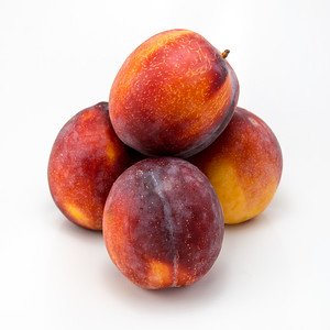 Fall Fiesta Red Plum (500g punnet, 3-4pcs)