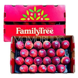Family Farm Tree® Ice Princess White Peach (Medium)