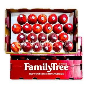 Family Tree Farms® Snow Belle White Peach (Medium)