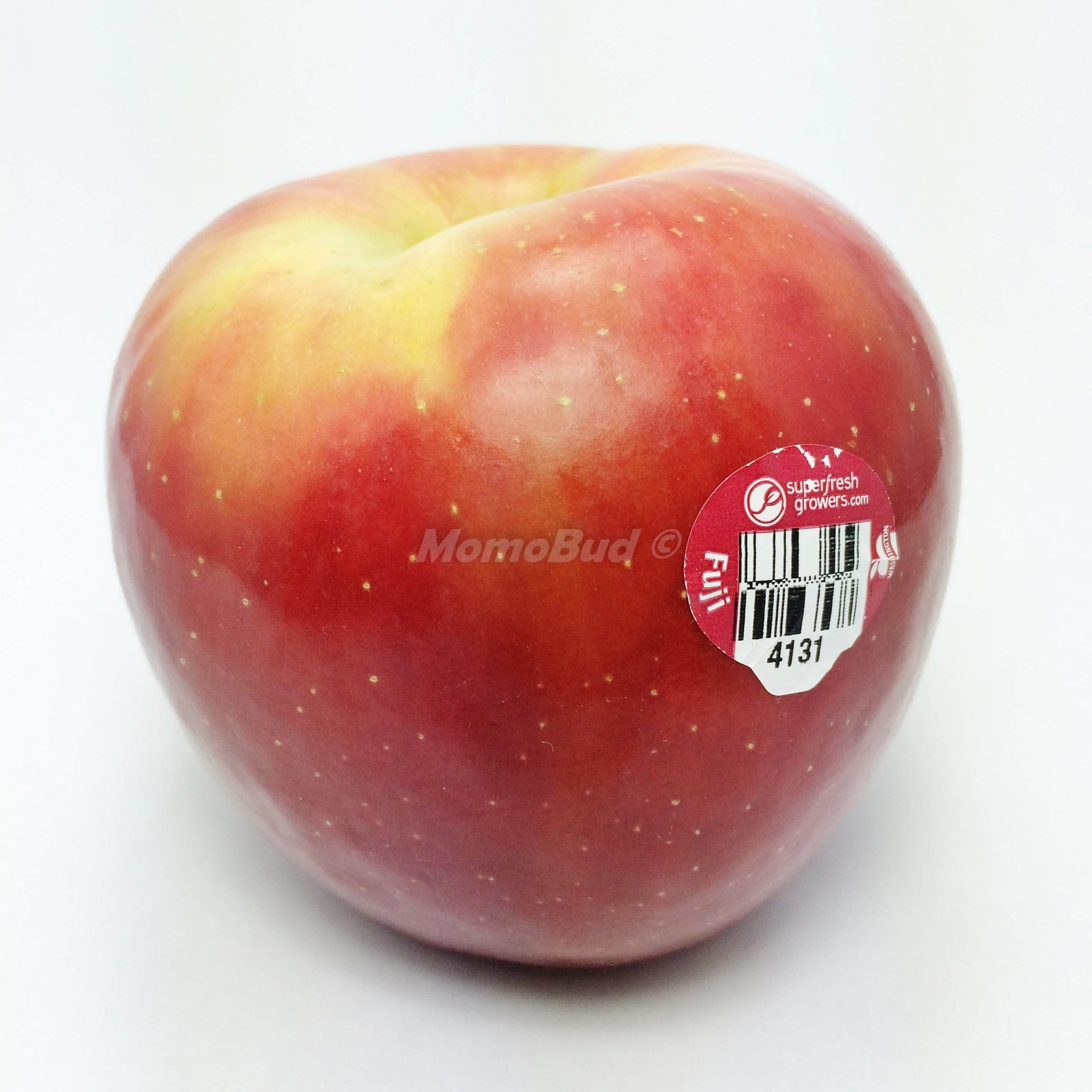 Fuji Apple (X-Large)