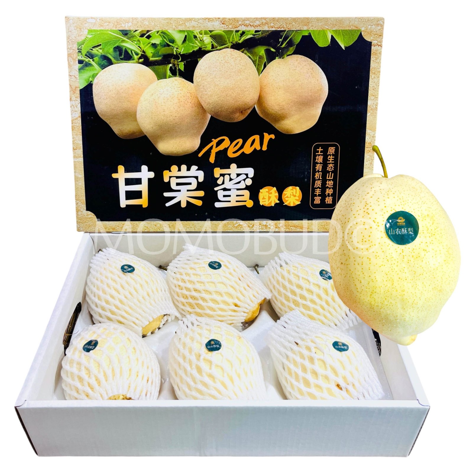 Gantang Honey Golden Pear (Jumbo)