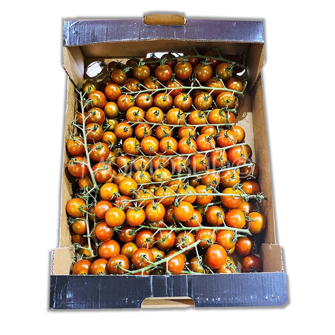 Golden Brown Cherry Tomatoes (On Vine)