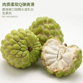 Taiwan Green Diamond Custard Apple