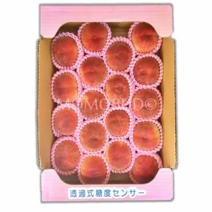 [7.7 Promo] Japanese Misaka Hikawa Hakuhou White Peach (Daitouryou Grade, Large)