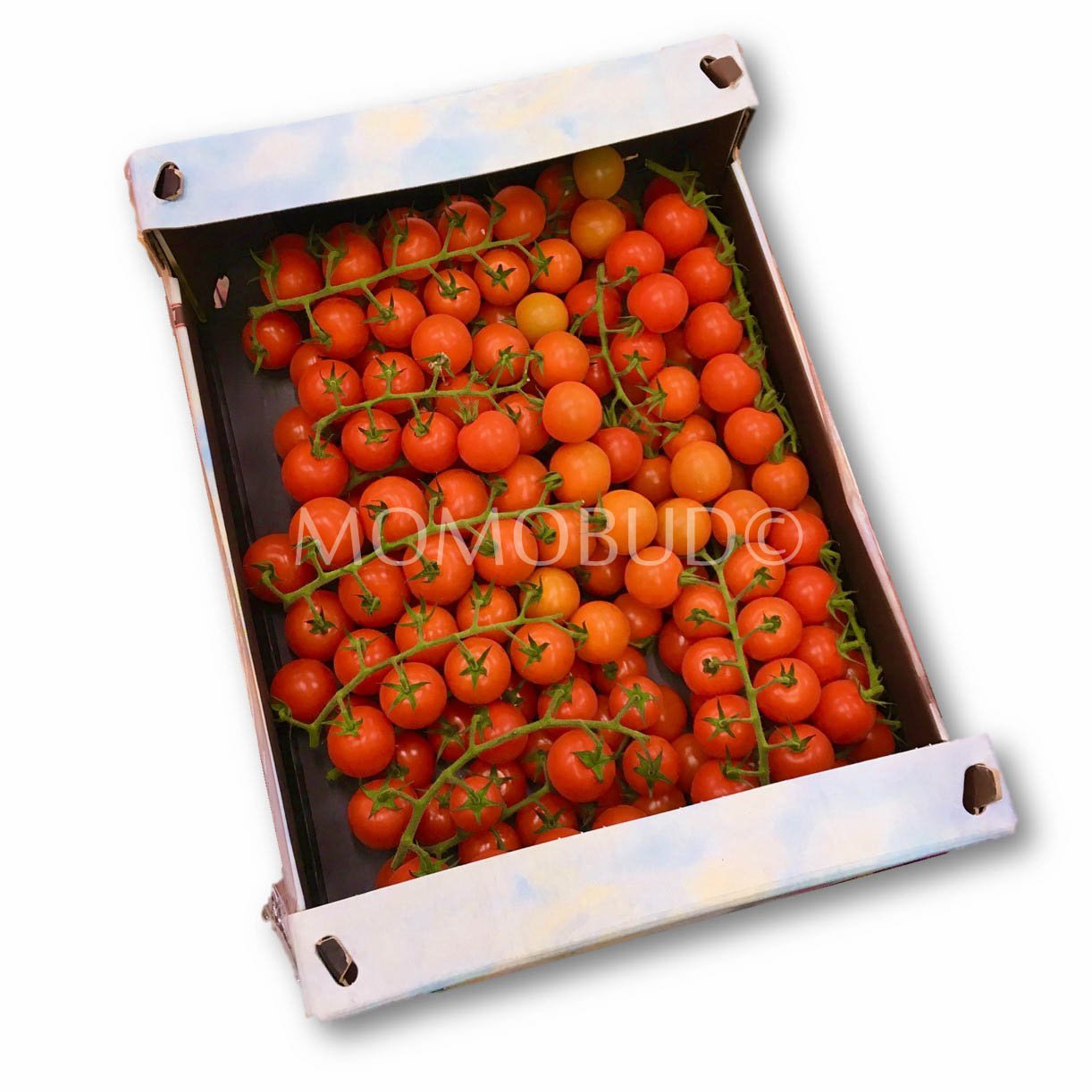 Cherry Tomatoes (On Vine) Box