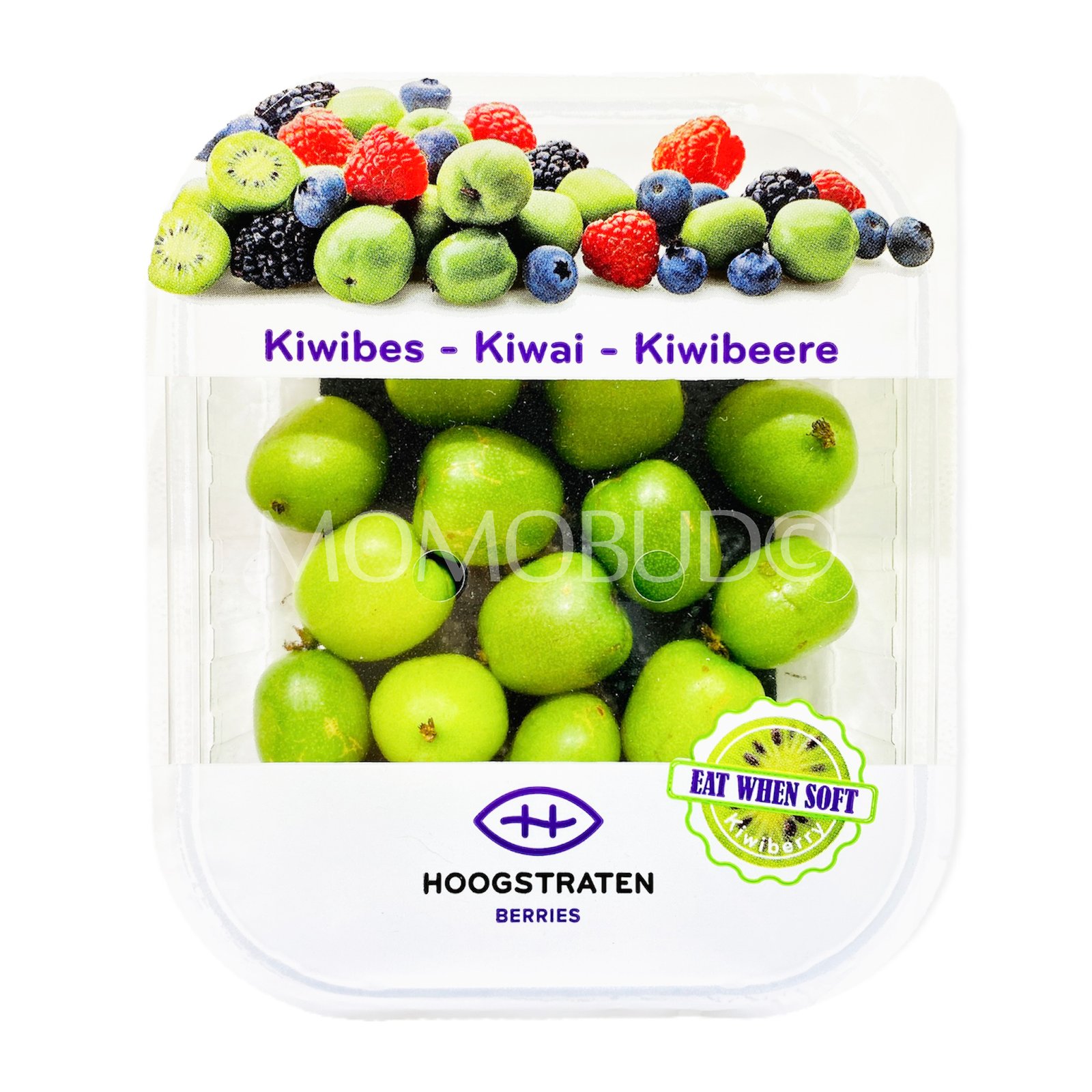 Hoogstraten Kiwiberry