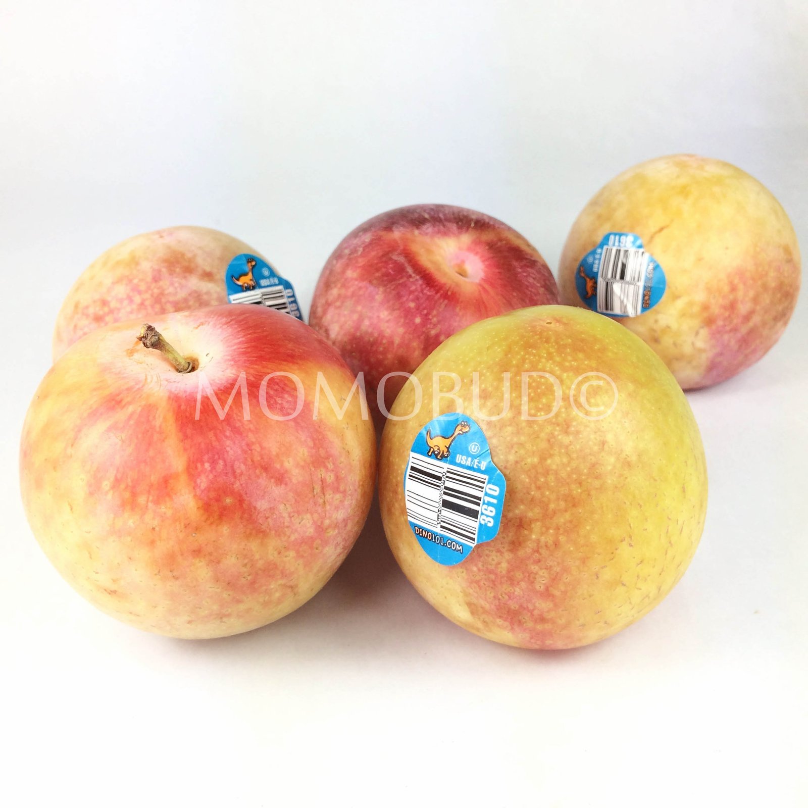 Emerald Rose Pluot (5pcs)