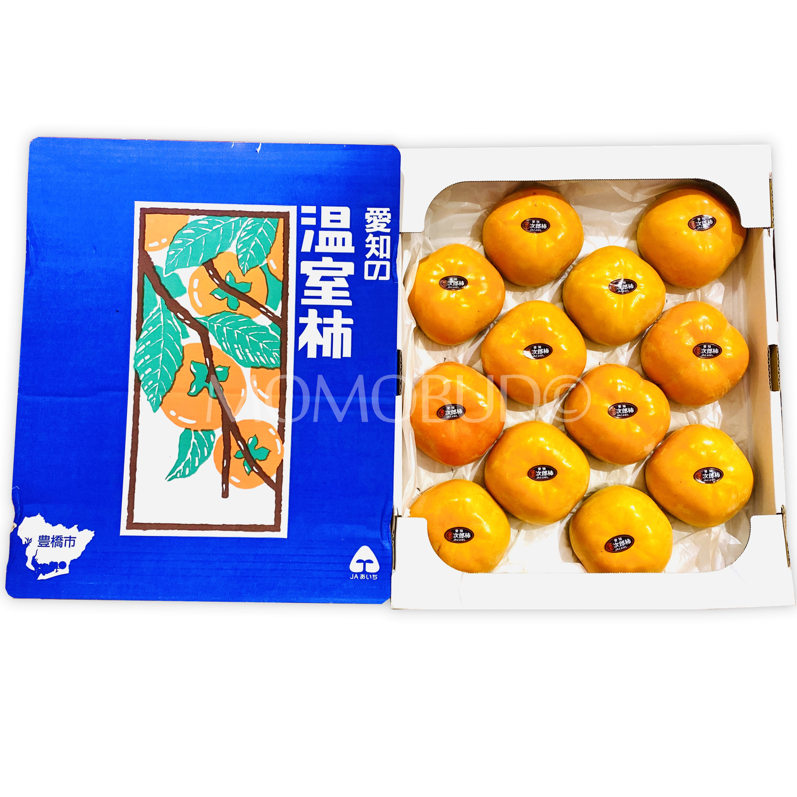 *Special Promo* Japanese Tanenashi Jiro Persimmon (Medium-Plus)