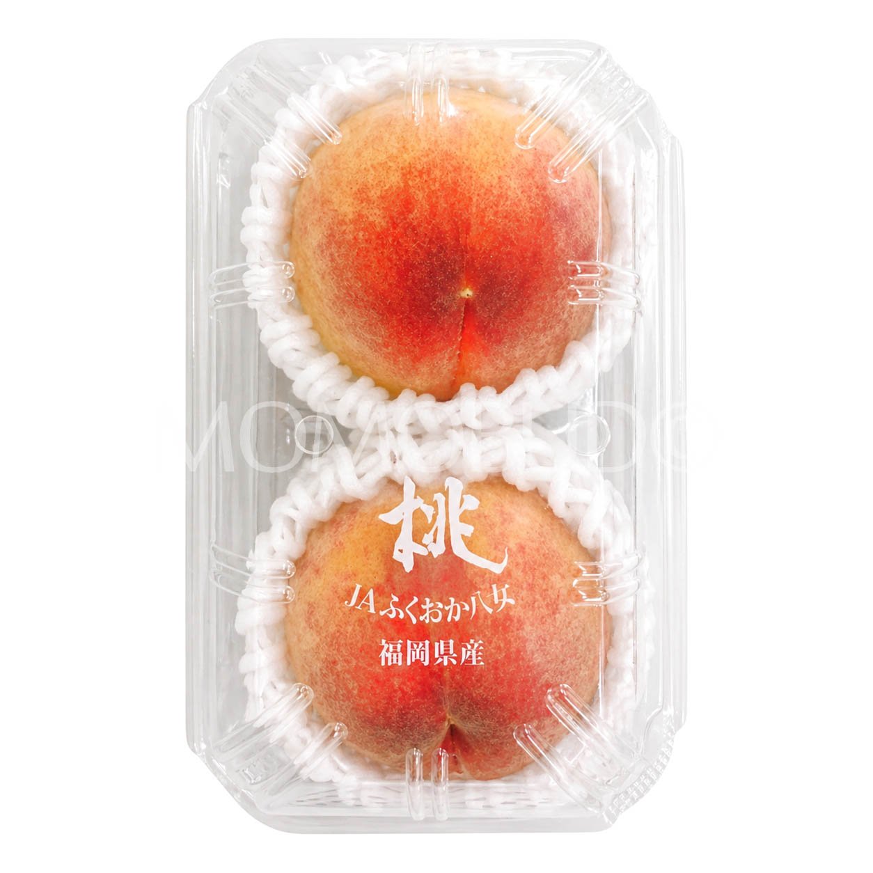 Japanese Fukuoka Yame White Peach (2pcs/punnet)