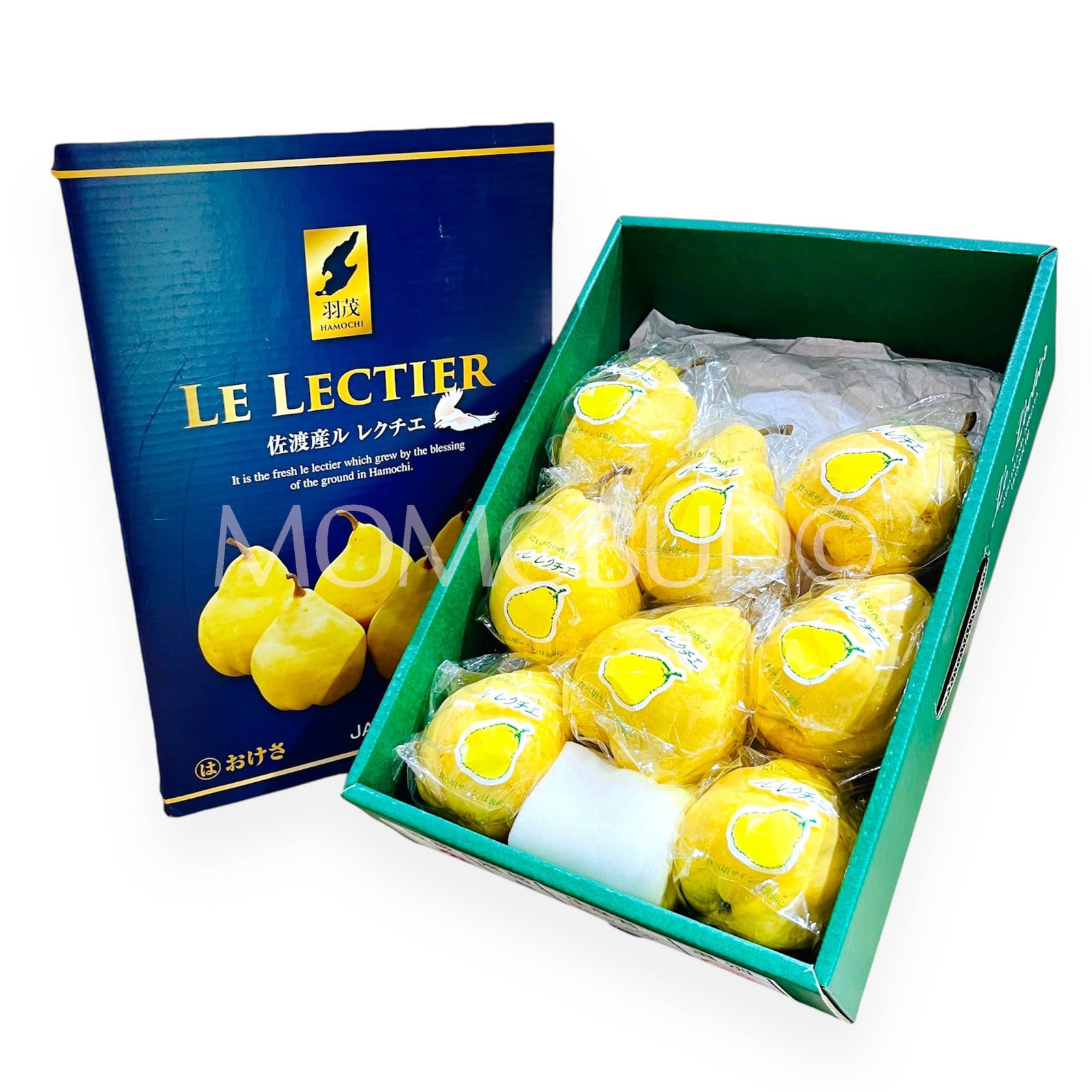 Japanese Sado Hamochi Le Lectier Pear (Large)