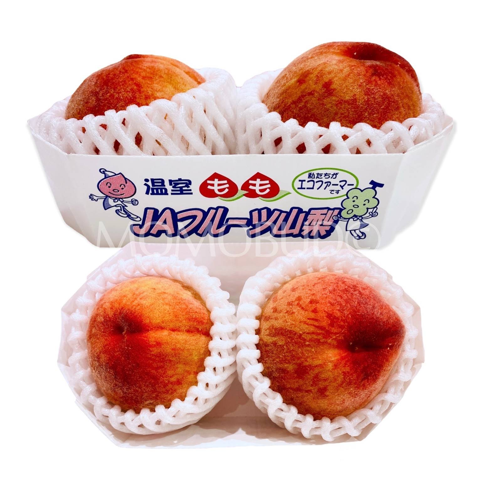 Japanese Yamanashi House Hikawa Hakuhou White Peach (2pcs/punnet, 300g)