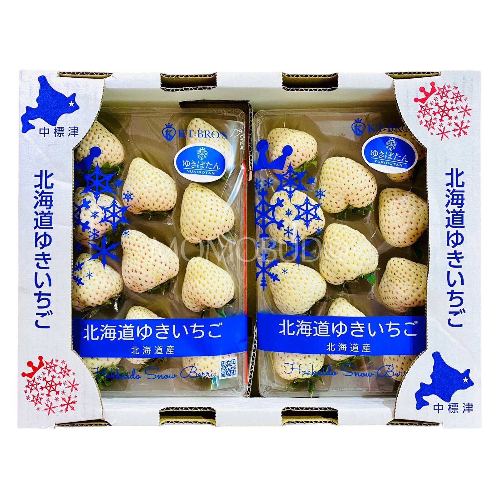 Japanese Hokkaido Yukibotan White Ichigo (Strawberry)