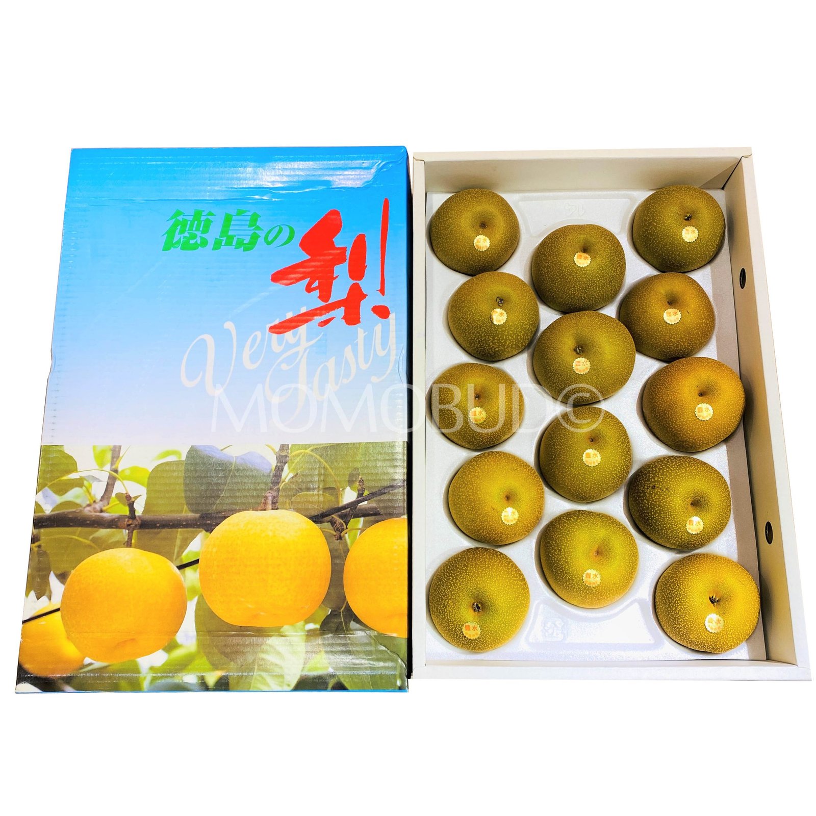 Japanese Hosui Pear